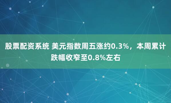股票配资系统 美元指数周五涨约0.3%，本周累计跌幅收窄至0.8%左右