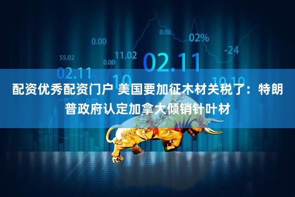 配资优秀配资门户 美国要加征木材关税了：特朗普政府认定加拿大倾销针叶材